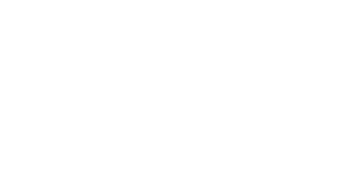 Faustino Junior